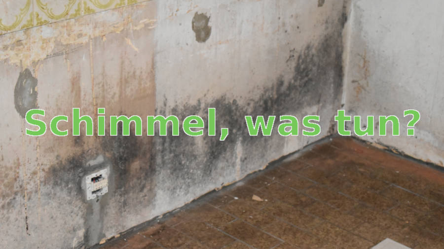 Die Sockelheizleiste der SHL-Wärmetechnik kann bei Schimmel im Haus helfen. Wir erklären, wie Schimmel entsteht, welche Maßnahmen gegen Schimmel helfen und wie Schimmel mit Sockelheizleisten vermieden werden kann.