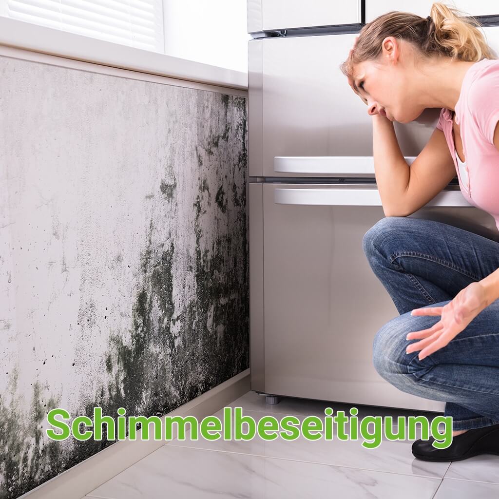 Hier wird Schimmel dargestellt. Besonders in einem Schlafzimmer kann durch das Verhalten der Bewohner Schimmel entstehen. Dieser kann mit Hilfe der Sockelheizleiste der SHL-Wärmetechnik beseitigt werden. Diese Sockelheizleisten nennt man auch Randleistenheizung, Leistenheizung, Sockelheizung, Fussleistenheizung, Heizsockel oder auch Sockelleistenheizkörper bzw. einfach Sockelheizleiste.