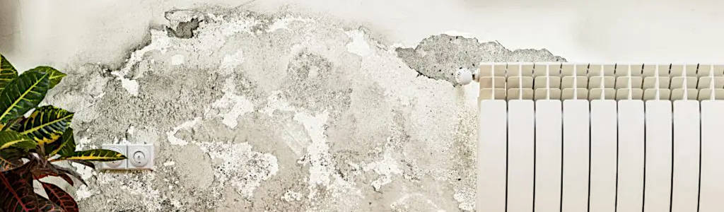 Ursachen für das Eindringen von Feuchtigkeit in die Bausubstanz können bauliche Schäden und Nutzerverhalten sein. Durch eine Beschädigung der Feuchtigkeitssperre oder falls keine Feuchtigkeitssperre existiert, kann Feuchtigkeit durch das Erdreich eindringen. Feuchtigkeit kann auch durch defekte Wasserleitungen oder Heizungsleitungen in die Wände eindringen. Um die Bausubstanz zu schützen, sind diese baulichen Mängel zunächst zu beseitigen und die eingedrungene Feuchtigkeit bzw. Nässe zeitnah und nachhaltig zu beseitigen. Kondensation, also dem Niederschlagen von Feuchtigkeit aus der Raumluft ist der häufigste Grund für Schimmel und Bauschäden. Die niedergeschlagene Feuchtigkeit entsteht durch einen zu hohen Temperaturunterschied zwischen Lufttemperatur und Wandtemperatur. Vereinfacht kann man sagen, dass bei mehr als 5° Celsius Temperaturunterschied zwischen Raumluft und Wandoberfläche sich Feuchtigkeit an den Oberflächen niederschlägt. Häufige Ursachen für zu hohe Luftfeuchtigkeit sind Bauart bedingte Kältebrücken (Außentemperatur wirkt sich an punktuellen Stellen kühlend auf die Oberfläche aus), fehlendes, bzw. falsches Lüften. Auch zu niedrigen Raumtemperaturen, also falschem Heizen, führt zur Kondensation. Baufeuchtigkeit ist die häufigste Ursache für hohe Sanierungskosten. Da die Sockelheizleiste die Oberflächentemperatur der Bausubstanz homogen erhöht, kann sich zum einen kein Kondensat niederschlagen und zum anderen wird die Bausubstanz nachhaltig getrocknet und trocken gehalten. Durch die erwärmten Oberflächen, verdunstet so die Feuchtigkeit auf der Oberfläche. Da nun keine Feuchtigkeit mehr auf der Oberfläche ist, diffundiert (wandert die Feuchtigkeit von Innen zur wärmeren Seite) die Feuchtigkeit in Richtung der Oberfläche und verdunstet ebenso. Dieser Vorgang wiederholt sich so lange, bis die Bausubstanz getrocknet ist. Damit die Sockelheizleiste die Bausubstanz trocknen kann, müssen zuvor die vorhandenen Bauschäden beseitigt werden. Da z.B. bei alten Gebäuden, mit Gründung direkt ins Erdreich, die Feuchtigkeitszufuhr nur schwer oder gar nicht unterbunden werden kann, muss diese so weit eingedämmt werden, dass weniger Feuchtigkeit eindringt, als abgeführt werden kann. Mit der Erhöhung der Oberflächentemperaturen trägt die Sockelheizleiste zum nachhaltigen Schutz der Bausubstanz bei.