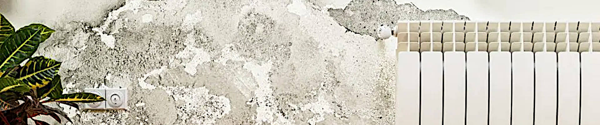 Ursachen für das Eindringen von Feuchtigkeit in die Bausubstanz können bauliche Schäden und Nutzerverhalten sein. Durch eine Beschädigung der Feuchtigkeitssperre oder falls keine Feuchtigkeitssperre existiert, kann Feuchtigkeit durch das Erdreich eindringen. Feuchtigkeit kann auch durch defekte Wasserleitungen oder Heizungsleitungen in die Wände eindringen. Um die Bausubstanz zu schützen, sind diese baulichen Mängel zunächst zu beseitigen und die eingedrungene Feuchtigkeit bzw. Nässe zeitnah und nachhaltig zu beseitigen. Kondensation, also dem Niederschlagen von Feuchtigkeit aus der Raumluft ist der häufigste Grund für Schimmel und Bauschäden. Die niedergeschlagene Feuchtigkeit entsteht durch einen zu hohen Temperaturunterschied zwischen Lufttemperatur und Wandtemperatur. Vereinfacht kann man sagen, dass bei mehr als 5° Celsius Temperaturunterschied zwischen Raumluft und Wandoberfläche sich Feuchtigkeit an den Oberflächen niederschlägt. Häufige Ursachen für zu hohe Luftfeuchtigkeit sind Bauart bedingte Kältebrücken (Außentemperatur wirkt sich an punktuellen Stellen kühlend auf die Oberfläche aus), fehlendes, bzw. falsches Lüften. Auch zu niedrigen Raumtemperaturen, also falschem Heizen, führt zur Kondensation. Baufeuchtigkeit ist die häufigste Ursache für hohe Sanierungskosten. Da die Sockelheizleiste die Oberflächentemperatur der Bausubstanz homogen erhöht, kann sich zum einen kein Kondensat niederschlagen und zum anderen wird die Bausubstanz nachhaltig getrocknet und trocken gehalten. Durch die erwärmten Oberflächen, verdunstet so die Feuchtigkeit auf der Oberfläche. Da nun keine Feuchtigkeit mehr auf der Oberfläche ist, diffundiert (wandert die Feuchtigkeit von Innen zur wärmeren Seite) die Feuchtigkeit in Richtung der Oberfläche und verdunstet ebenso. Dieser Vorgang wiederholt sich so lange, bis die Bausubstanz getrocknet ist. Damit die Sockelheizleiste die Bausubstanz trocknen kann, müssen zuvor die vorhandenen Bauschäden beseitigt werden. Da z.B. bei alten Gebäuden, mit Gründung direkt ins Erdreich, die Feuchtigkeitszufuhr nur schwer oder gar nicht unterbunden werden kann, muss diese so weit eingedämmt werden, dass weniger Feuchtigkeit eindringt, als abgeführt werden kann. Mit der Erhöhung der Oberflächentemperaturen trägt die Sockelheizleiste zum nachhaltigen Schutz der Bausubstanz bei.